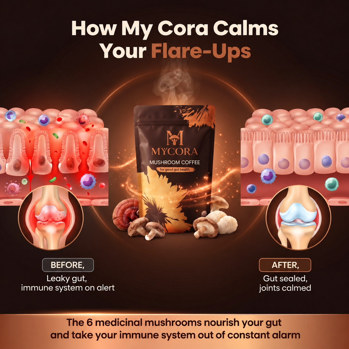 MYCORA™ Mushroom Coffee