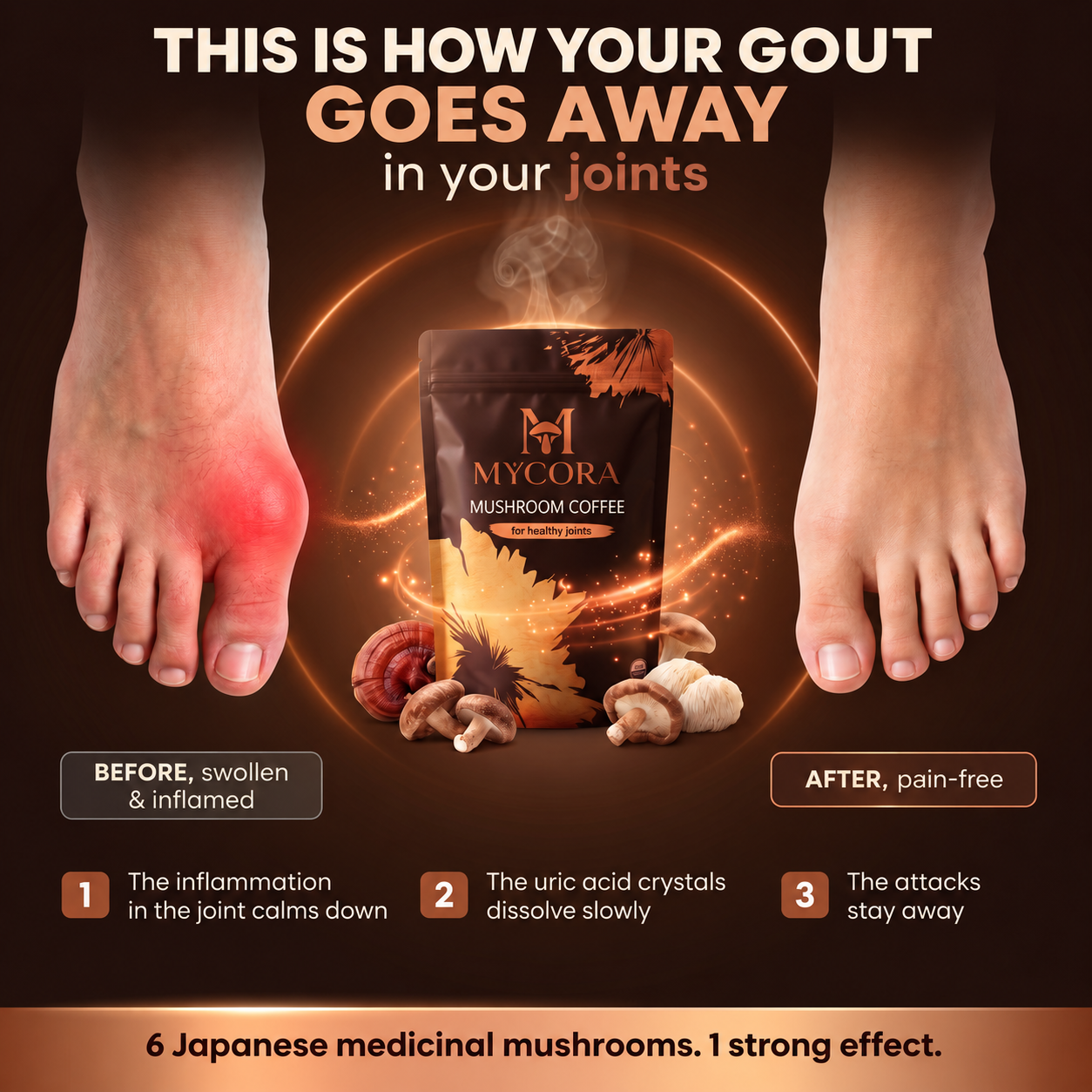 MYCORA™ Mushroom Coffee