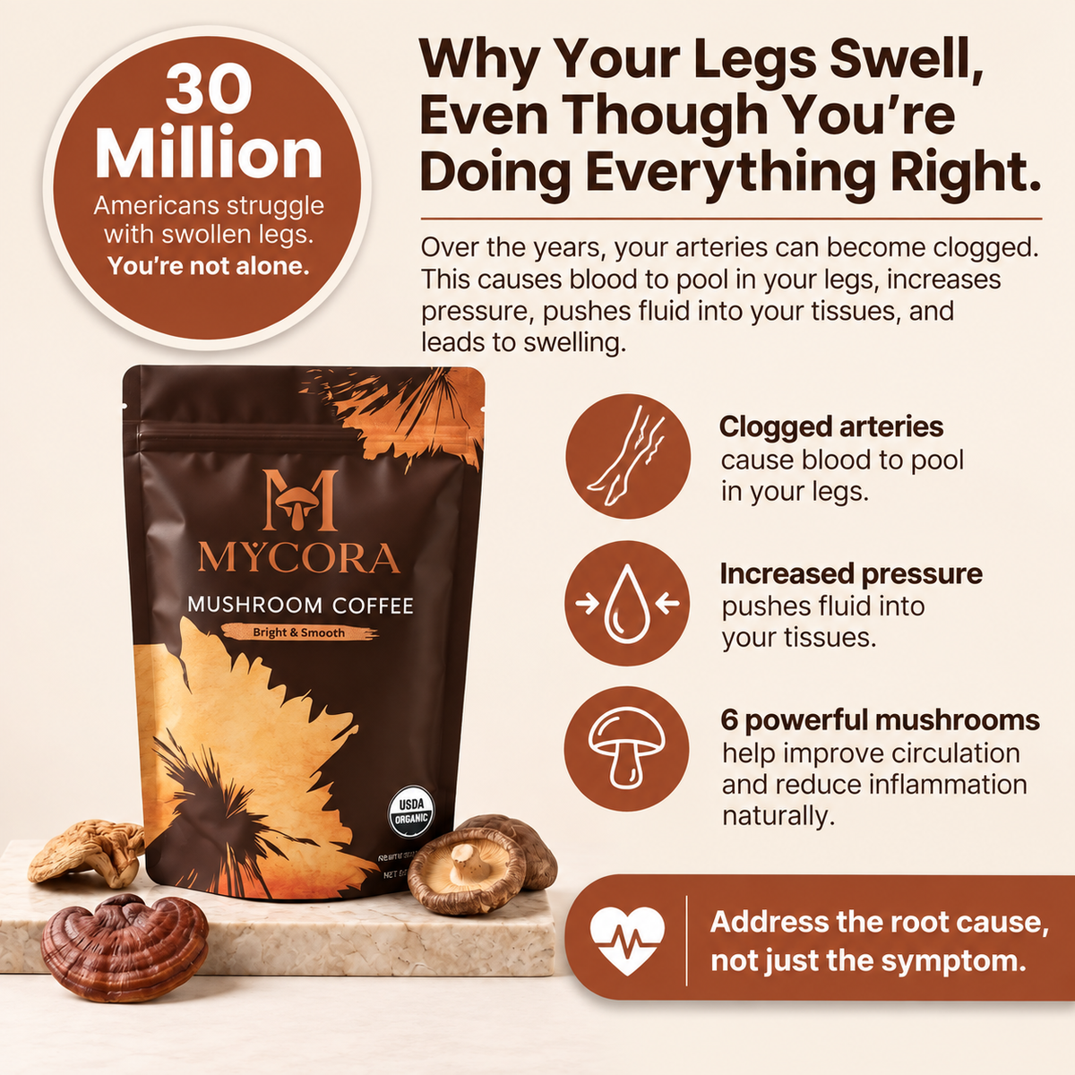 MYCORA™ Mushroom Coffee