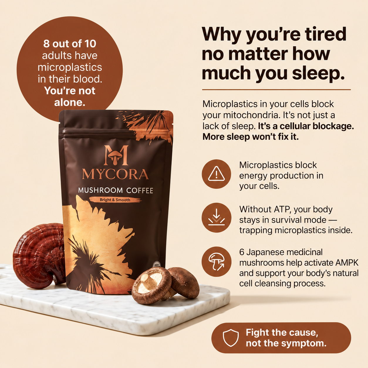 MYCORA™ Mushroom Coffee | for healthy Mitochondria