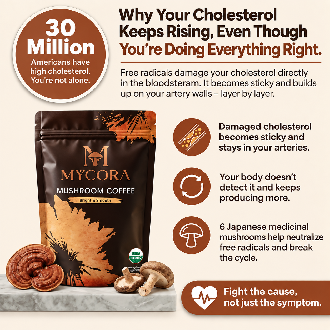 MYCORA™ Mushroom Coffee | for healthy cholesterol levels