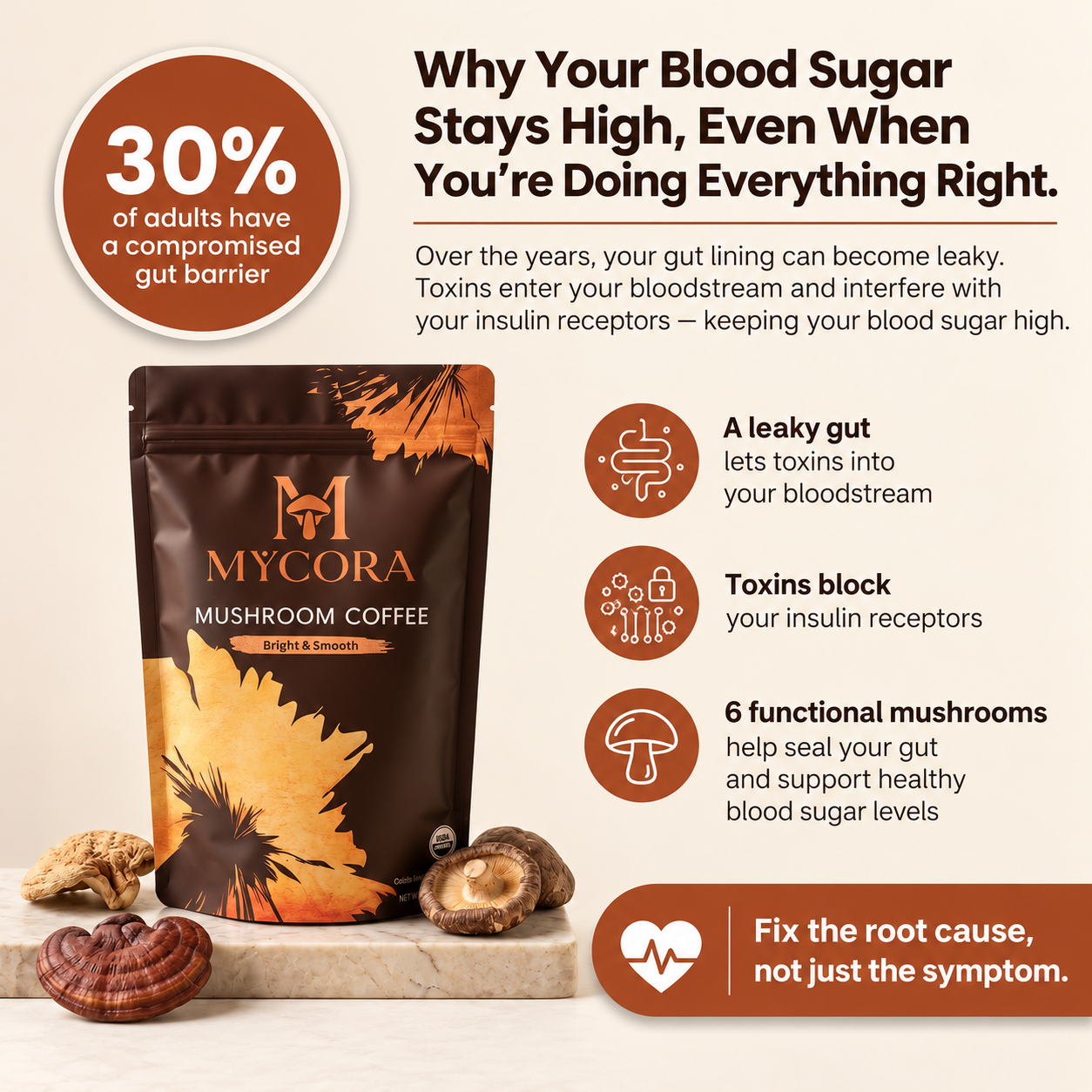 MYCORA™ Mushroom Coffee